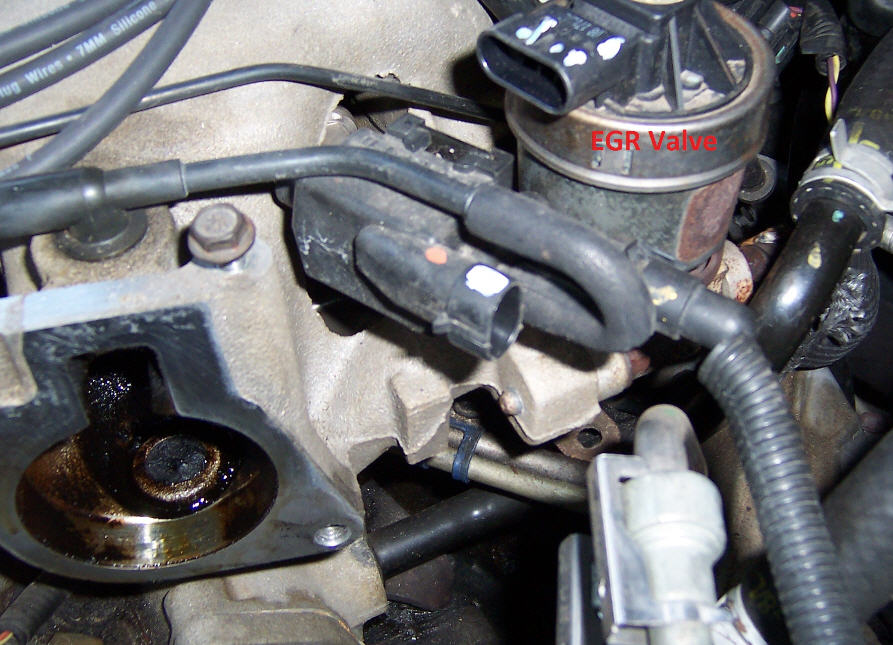 Plenum EGR hole and EGR valve.jpg