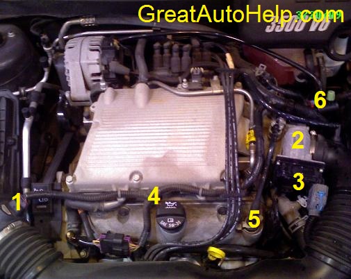 3.5L V6 (3500) engine sensor location picture.