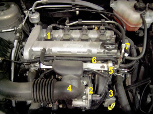 4 2l Chevy Engine Diagram